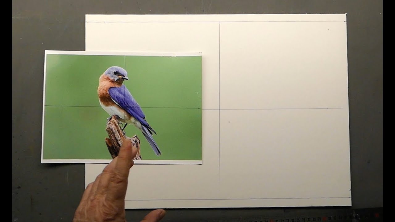 Las ayudas para el dibujo: El cuadriculado