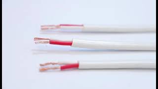 Famous 2 TPS Core Flat Electrical Wire Product Demo China Plant Profile