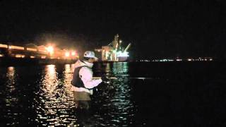 マニック実釣・三河湾ウェーディーング