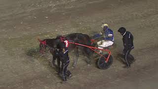 Vidéo de la course PMU PRIX LIKE A HORSE AMATORSERIE AVD 11