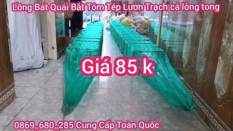 A Chiến Lồng Bát Quái Bắt Cá Tôm Tép Lươn Trạch cá Lòng Tong Cá Linh đánh Ruộng Lúa ao sông Hồ đầm