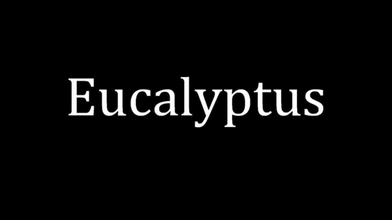 How to pronounce Eucalyptus YouTube