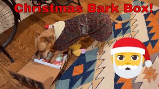 Christmas Bark Box Review! Cute Puppy Opening and Playing with Bark Box! Doggy Christmas in July!