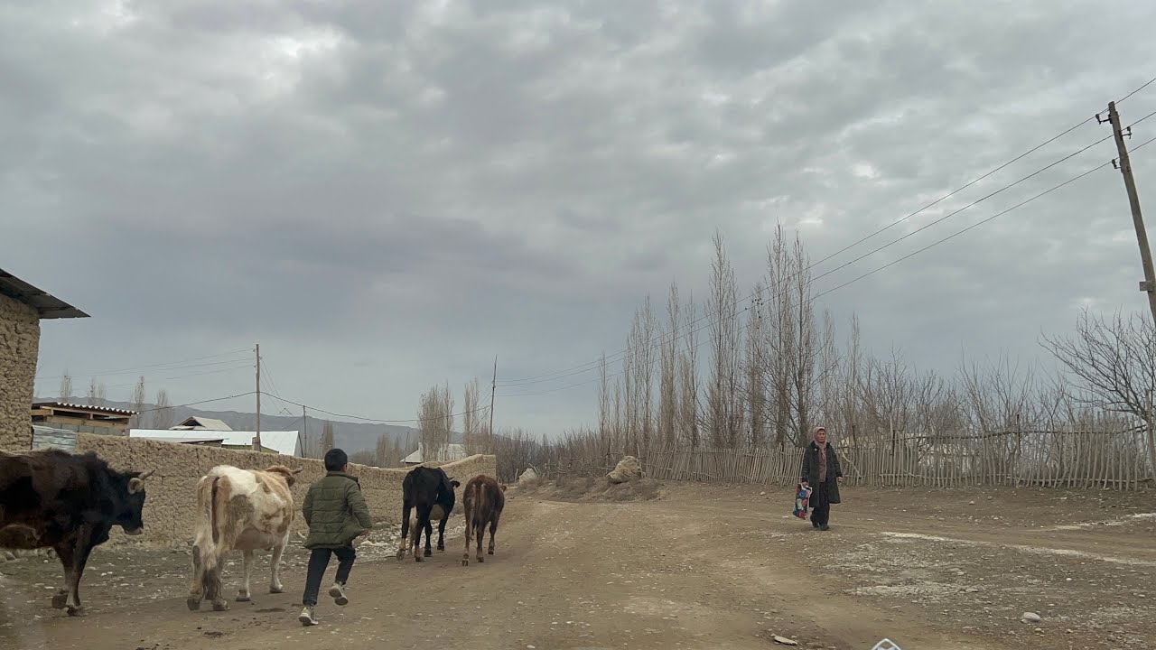 Баткен Кара Бак(Каут) айылы 2022 жыл