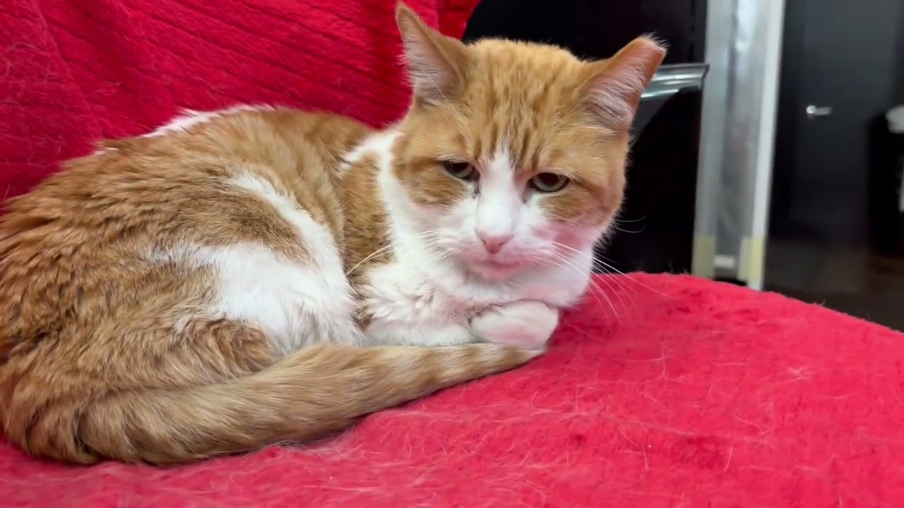 Can I Clock Out Now?