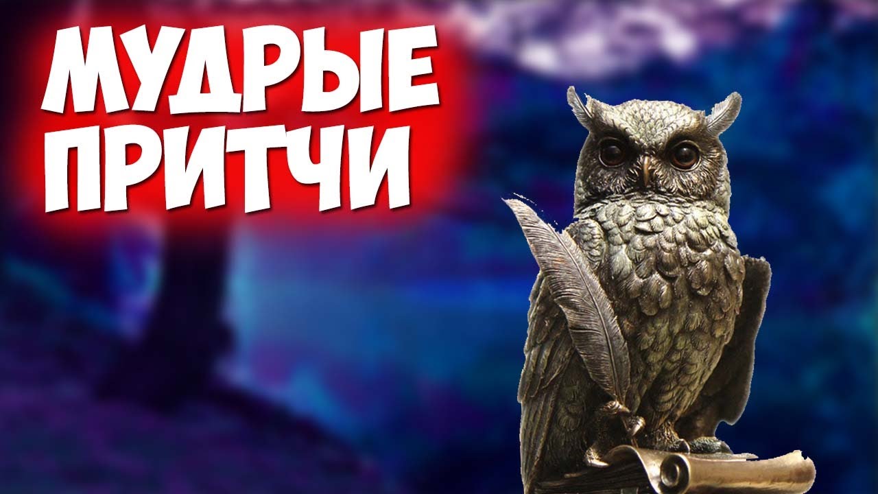 Rdr 2 Californian Horned Owl. Californian Horned Owl rdr 2 где найти. Hawk Owl Enemies Fox. California sova дрелы. Притчи ютуб