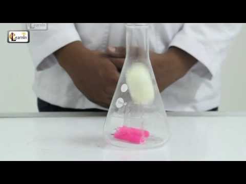 Egg in a bottle | Eggs sucked into a jar | Cool Science experiment video for kids