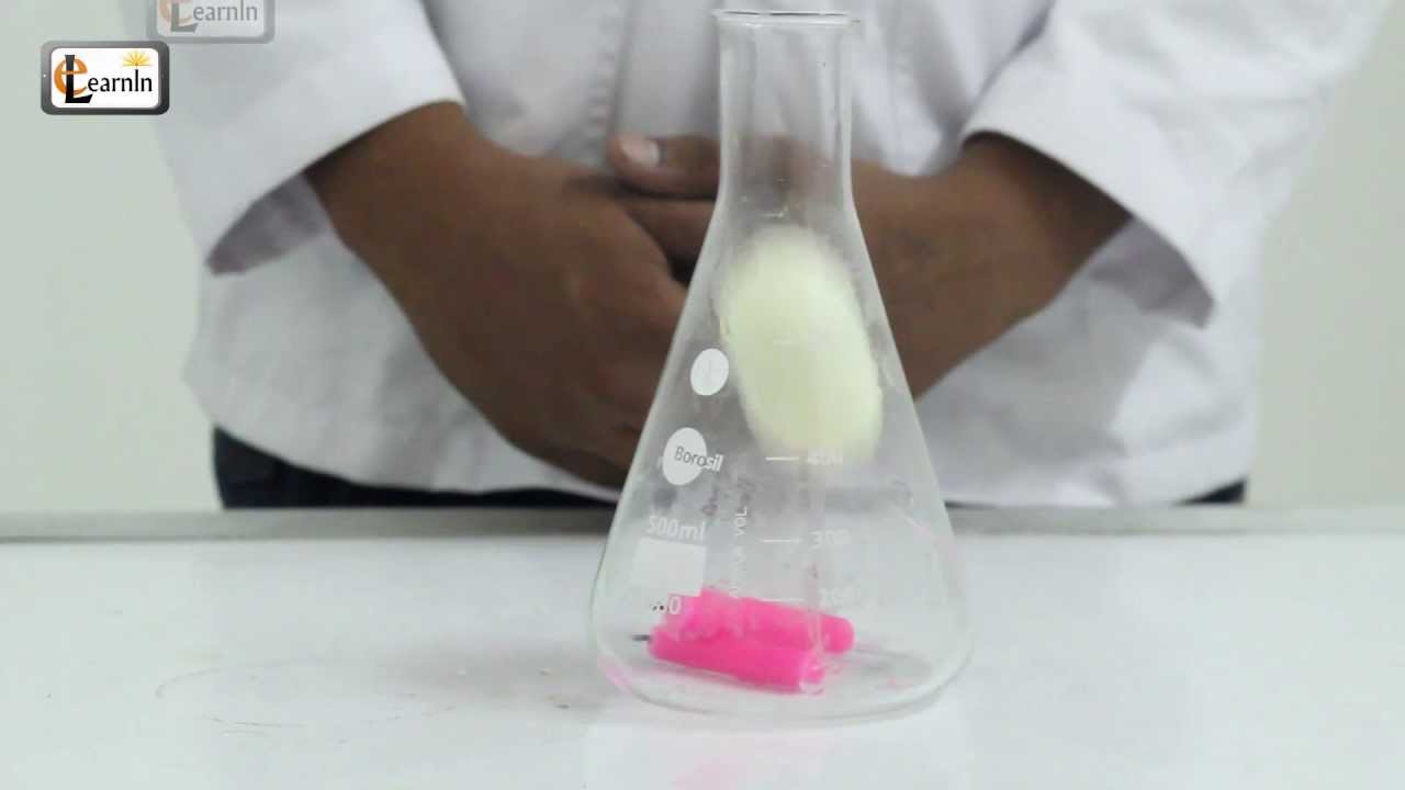 Try the Egg in a Bottle Science Demonstration | Science 