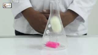Egg in a bottle | Eggs sucked into a jar | Cool Science experiment video for kids