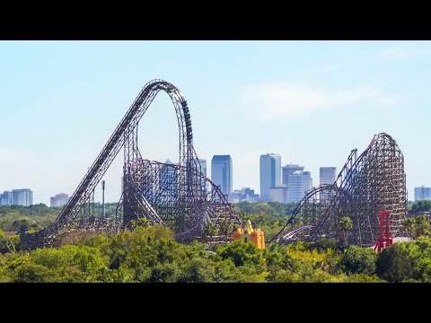 365 Days of Busch Gardens Tampa Bay