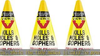 Victor M6006 Outdoor Mole & Gopher Poison Peanuts - Mole and Gopher Bait Killer - 4 Pack