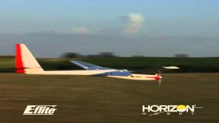 Mystique 2.9M Arf By E-Flite