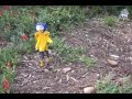 CORALINE / Fan Made Film