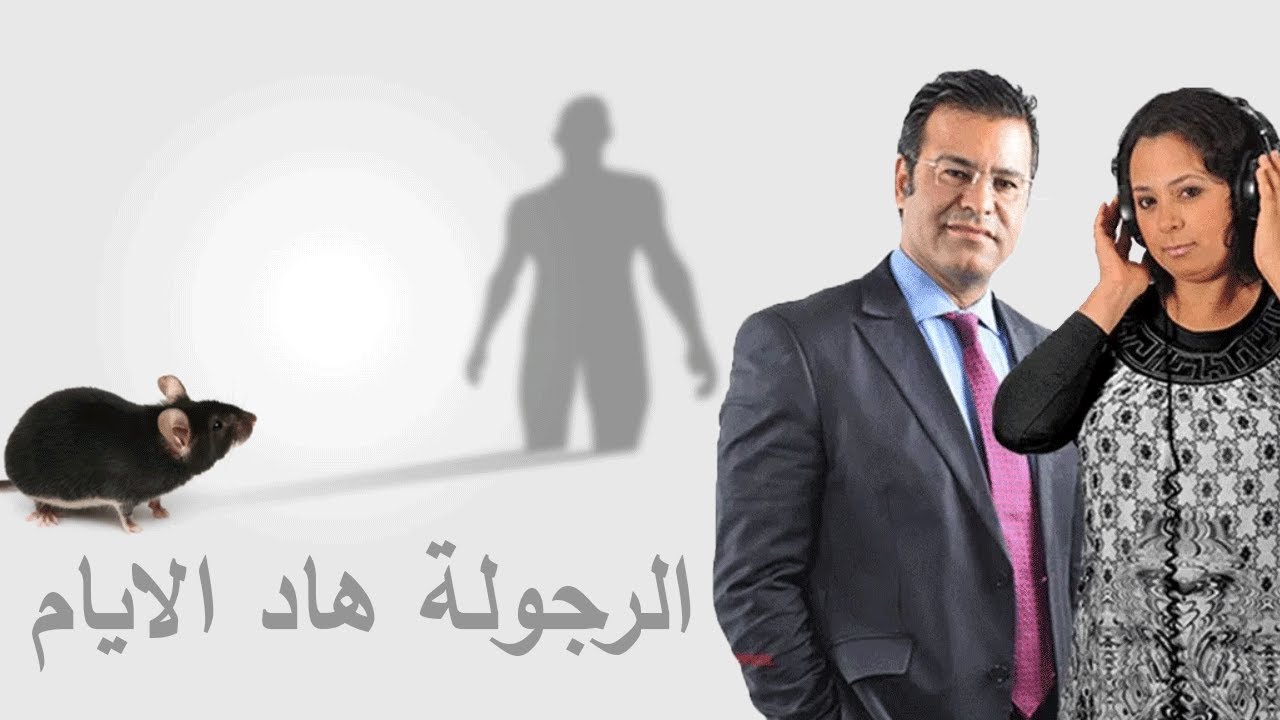 🐭 شحال من واحد كيبان راجل لكن في الحقيقة هو مجرد فأر 🐭