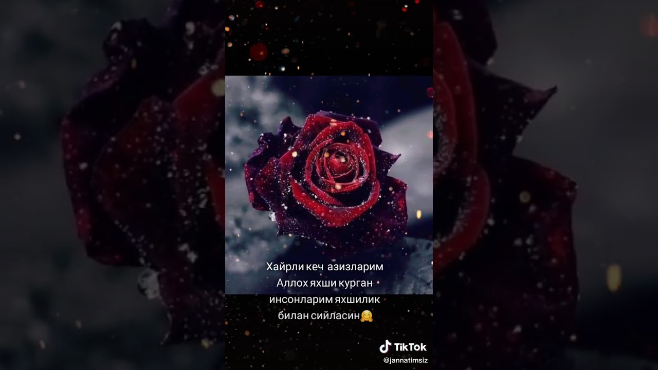 Хайрли кеч картинка