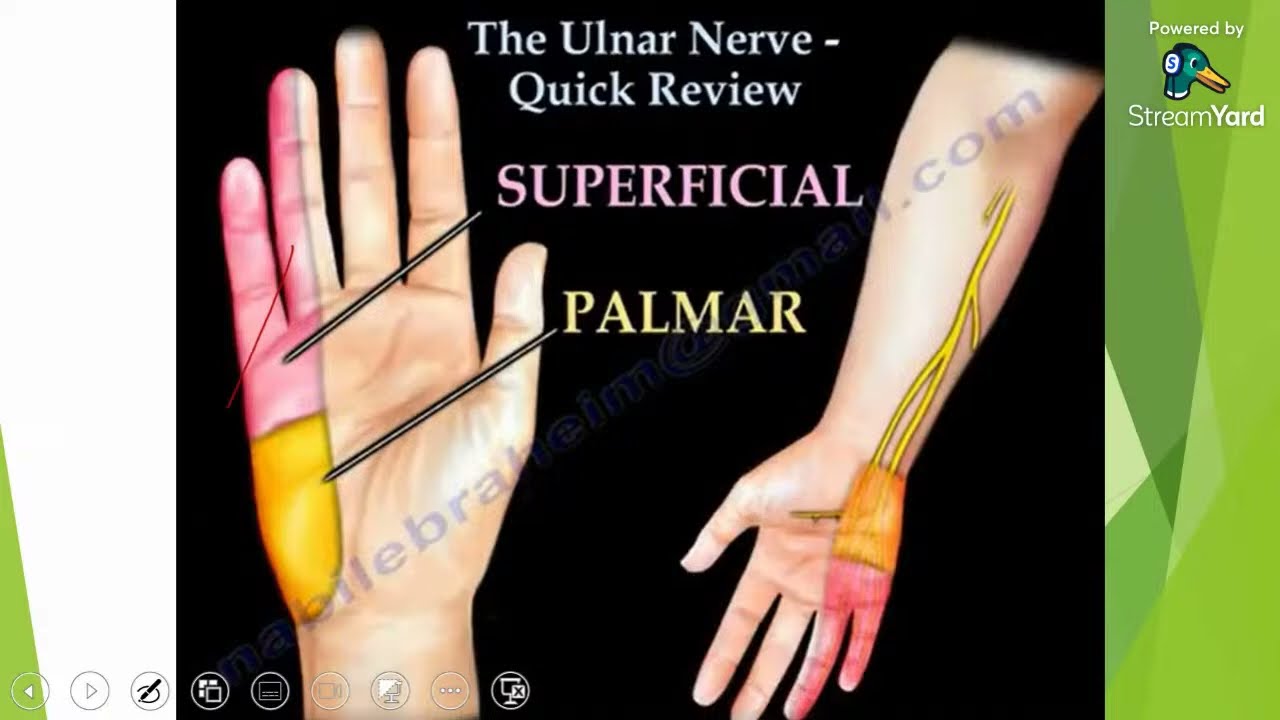 ULNAR NERVE INJURY ,CAUSES ,SYMPTOMS ,DIAGNOSIS AND TREATMENT