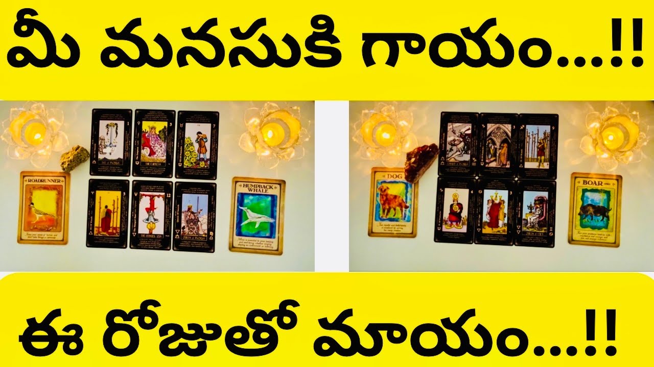 Telugu Tarot🌞మీ మనసుకి గాయం⁉️ఈ రోజుతో మాయం‼️Pick A Card/Timeless Reading 🔱⚛️Tarot For Soul Telugu💖