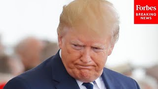 'So Damning!': Top Democratic Senator Rips Trump Following January 6 Hearings