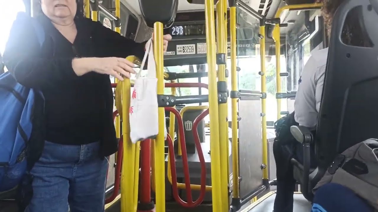 Passeando Vip V linha 298 Maria Craça