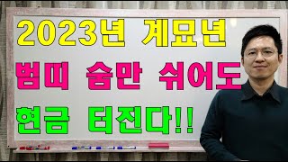 명리학으로 본 2023년 계묘년 범띠 운세! 이것만 하면 현금 터진다!!(38년, 50년, 62년, 74년,…