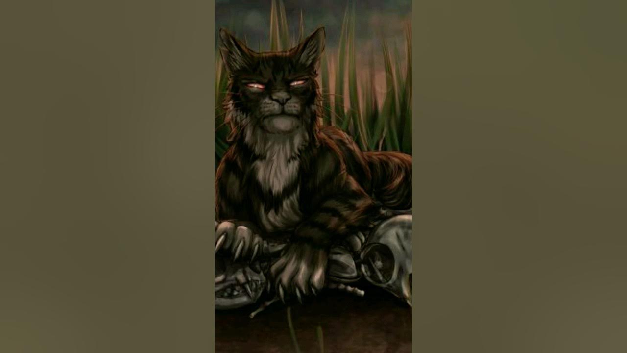 Warrior Cats Design #11) Firestar by Wolfie-Moonscar -- Fur