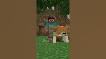 Steve? you gotta help me i