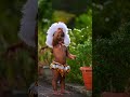 KiNni PiLi 🐯🐯#aariv#dance #tulunad #udupi #astami #krishnamath