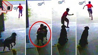 This Was Caught On Camera..My Heart Melted ❤️️ This Was Caught On Camera..My Heart Melted ❤️️