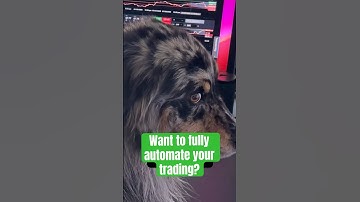 Chose freedom over screen time. Systems over stress. Automation over exhaustion. www.quantvue.io