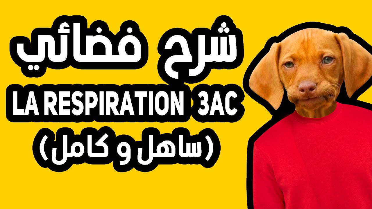 la respiration chez l'homme (3eme annee college) / Svt 3ac (COURS COMPLET)