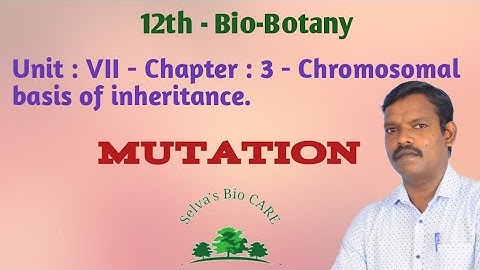 12th - Bio-botany : Chapter - 3 : Chromosomal basis of inheritance.