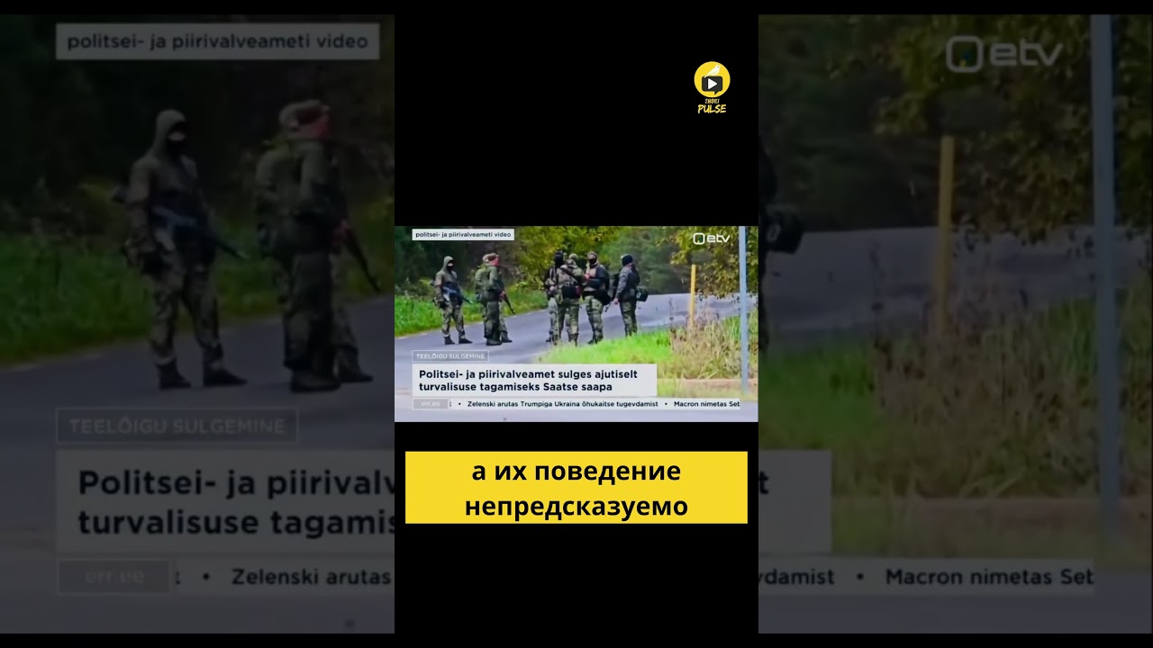 Эстония бьёт тревогу из-за вооружённых групп из РФ.