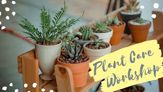 House Plant Care - Workshop
