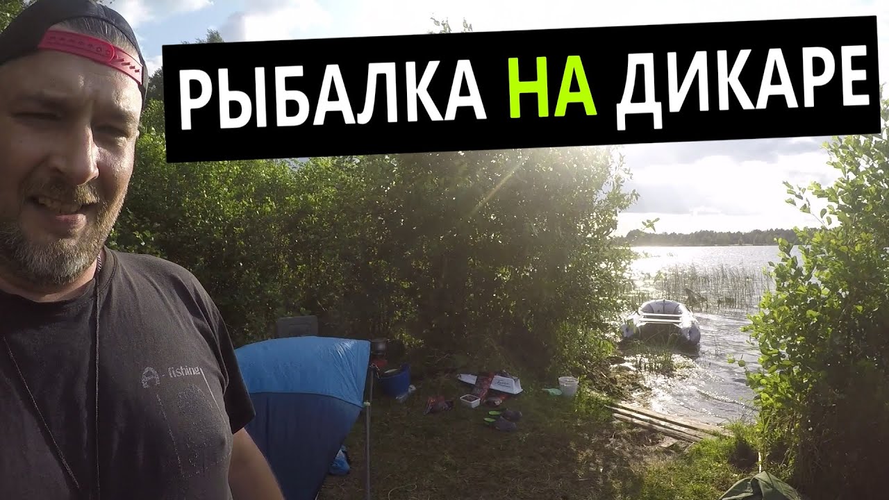 рыбалка на дикаре ( ловля карпа на бойлы ) карпфишинг в лесу на красивом озере.