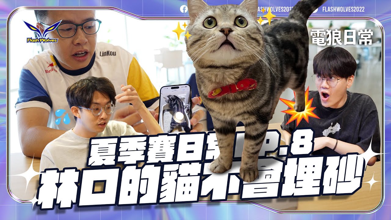 夏季賽日常EP.8｜貓奴的困擾！小詹手瘀青？一起開箱神秘包裹！｜閃電狼 ✕ 傳說對決