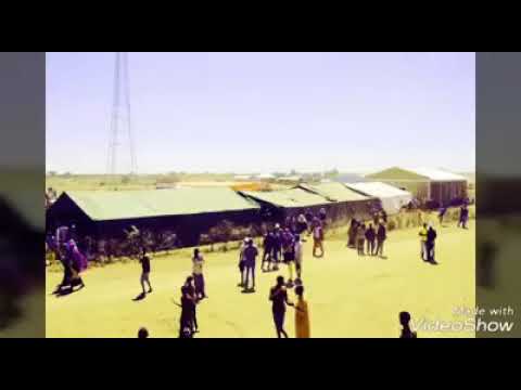 Boqortooyada Akisho Cali Madaxweyne Direed Beelaha Direed Fadheyga Itoobiya