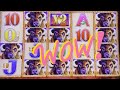 HUGE HANDPAY JACKPOT     Over 100 bonus spins👍🏻       🦬💰BUFFALO GOLD🦬💰