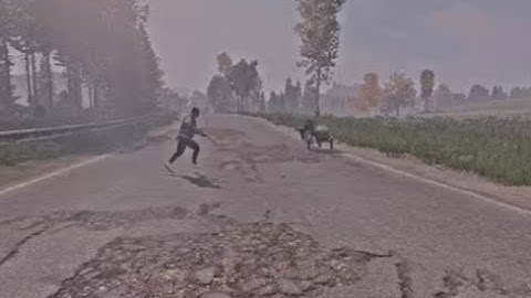 Dayz - My First Crossbow Kill Was A Good One!