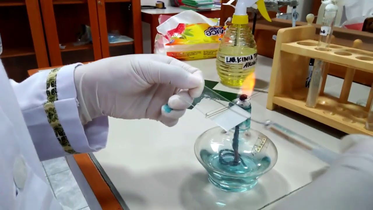 BAKTERIOLOGI: Pewarnaan Sederhana