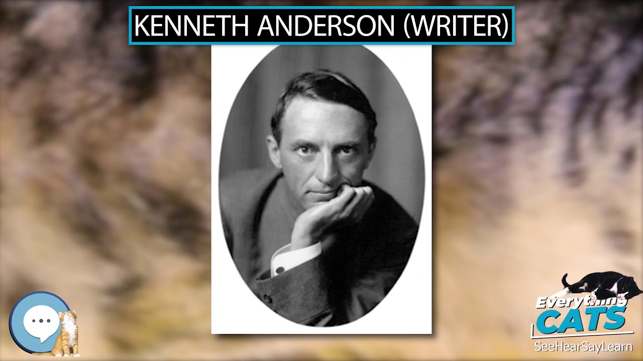 Kenneth Anderson Writer Everything Cats Youtube