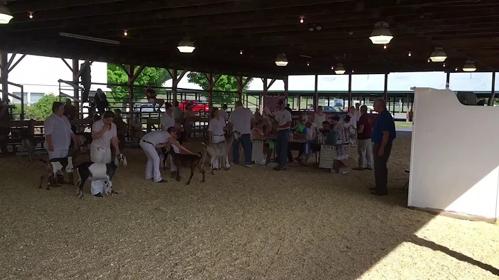 Progressive Dairy Goat Association: Selection of J...