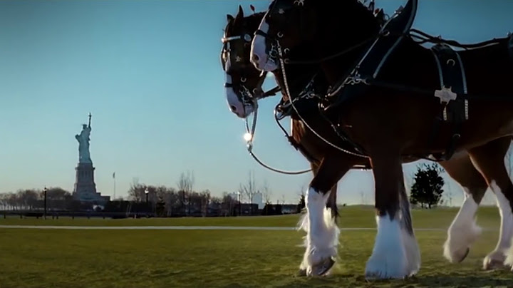 Budweiser Clydesdales '9/11 Tribute' Ad: Super Bowl 2011