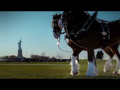 Budweiser Clydesdales '9/11 Tribute' Ad: Super Bowl 2011