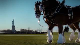 Budweiser Clydesdales '9\/11 Tribute' Ad: Super Bowl 2011