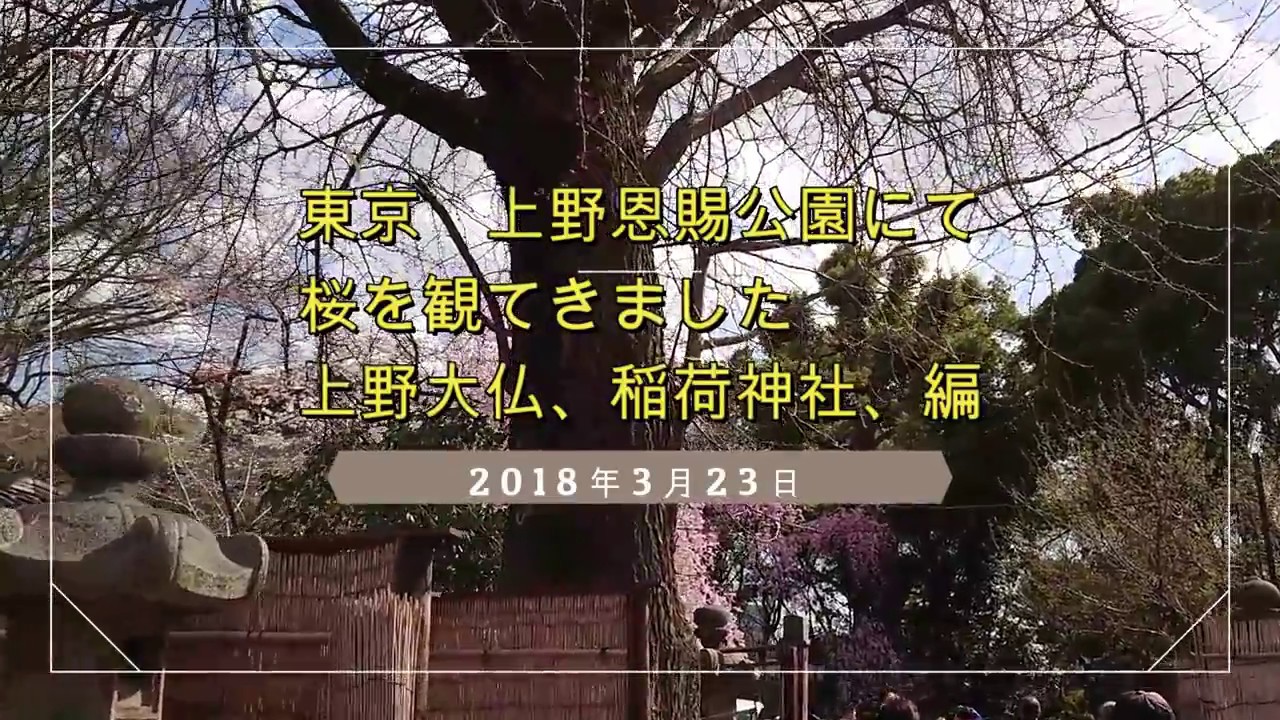 上野 さくら 福島