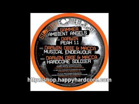 Darwin, Obie & Macca - Musical Endeavour, Strictly For The Purist - SFTP001