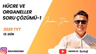 25 Hücre Ve Organelleri̇ Soru Çözümü-1-13.Gün I 2025 Tyt Tayfa