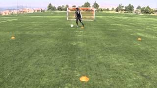 Attacking Moves: Roll Stepover