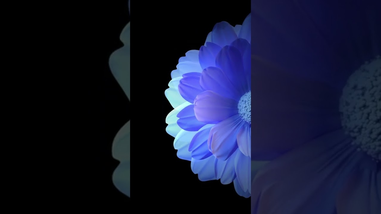 dark blooming blue flowers