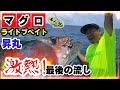 【昇丸】ライブベイト　マグロ(キハダ)を狙う　激熱!最後の流し